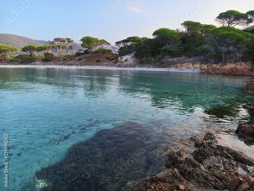 Plage Corse, tôt le matin