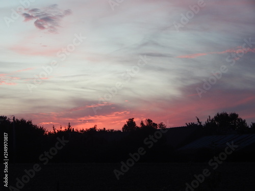 Obraz na plátně Paysage de campagne au crépuscule avec un ciel aux nuances pastel roses, bleues et grises, et une silhouette sombre d'arbres à l'horizon
