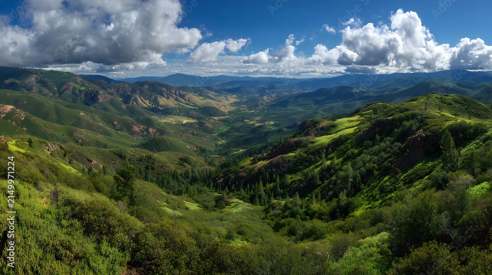 Obraz premium Panoramic view of a lush green valley and rolling hills under a dramatic sky capturing the expansive natural landscape and serene wilderness