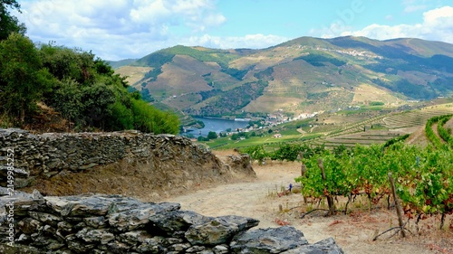 Pinhão seen from the slopes above with beautiful grapevines all the way up the hill
