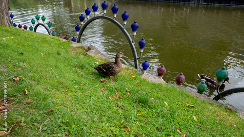Duck strolls green grass beside calm pond