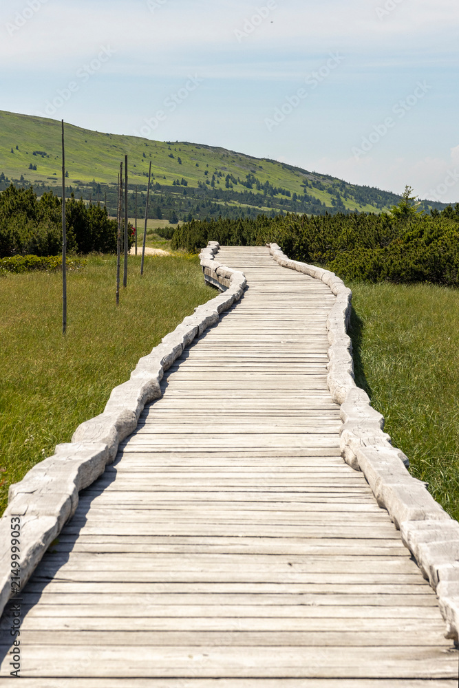 Obraz premium A wooden boardwalk over a moor in the hiking area of ​​the Giant Mountains in the Czech Republic, with Sněžka in the background.