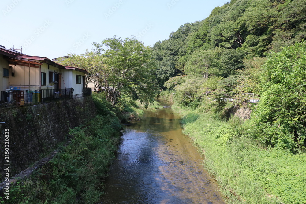 Fototapeta premium 滝川。奥久慈の袋田の滝から流れ出る川。