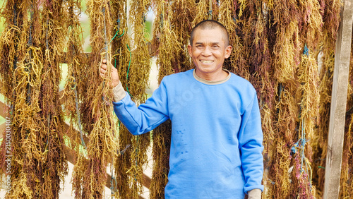Canvas Print Portrait of smiling adult indonesian farmer in 30s with harvested seaweed, euche