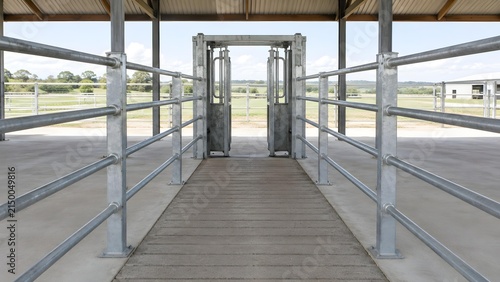 Galvanized metal cattle chute entrance located within a spacious open air agricultural livestock barn facility with inside industrial agricultural