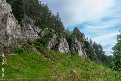Quadro su tela Dramatic limestone outcrops rise above a grassy karst hillside with narrow hiking paths, metal railings and dense Scots pine Pinus sylvestris