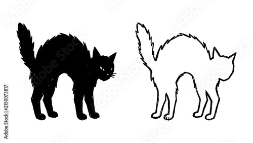 Photography Silhouette of a black cat and outline of a white cat