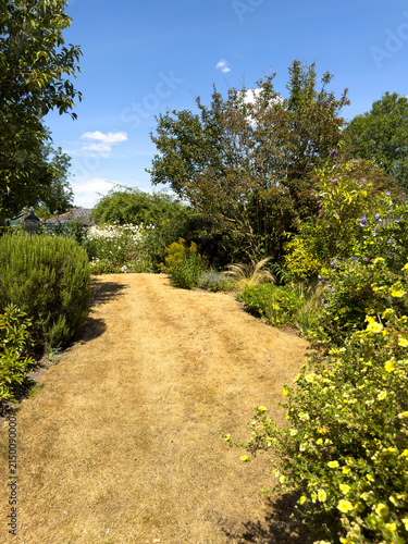 Hampshire England UK. 01.08.2026. English country garden during a dry weather period resulting in a parched lawn with dried grass.