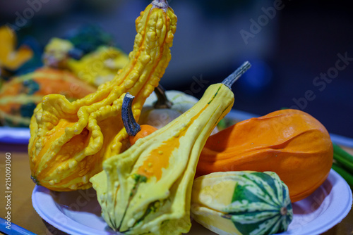Colorful gourds on display at a farmers market in autumn season