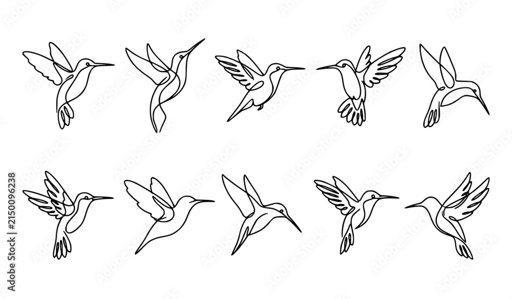 Obraz premium Hummingbird One Line Drawing Vector Collection Minimal Continuous Line Bird Art
