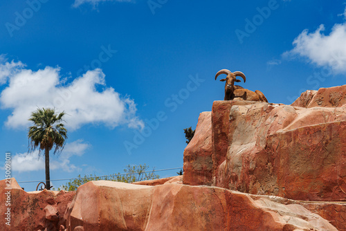 Canvas Print A Barbary sheep (aoudad) rests on an artificial red rock formation against a blue sky with clouds and a palm tree, at Alexandria Zoo, Egypt, June 15, 2026