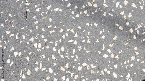 Suelo gris de terrazo con pequeñas piedras blancas incrustadas