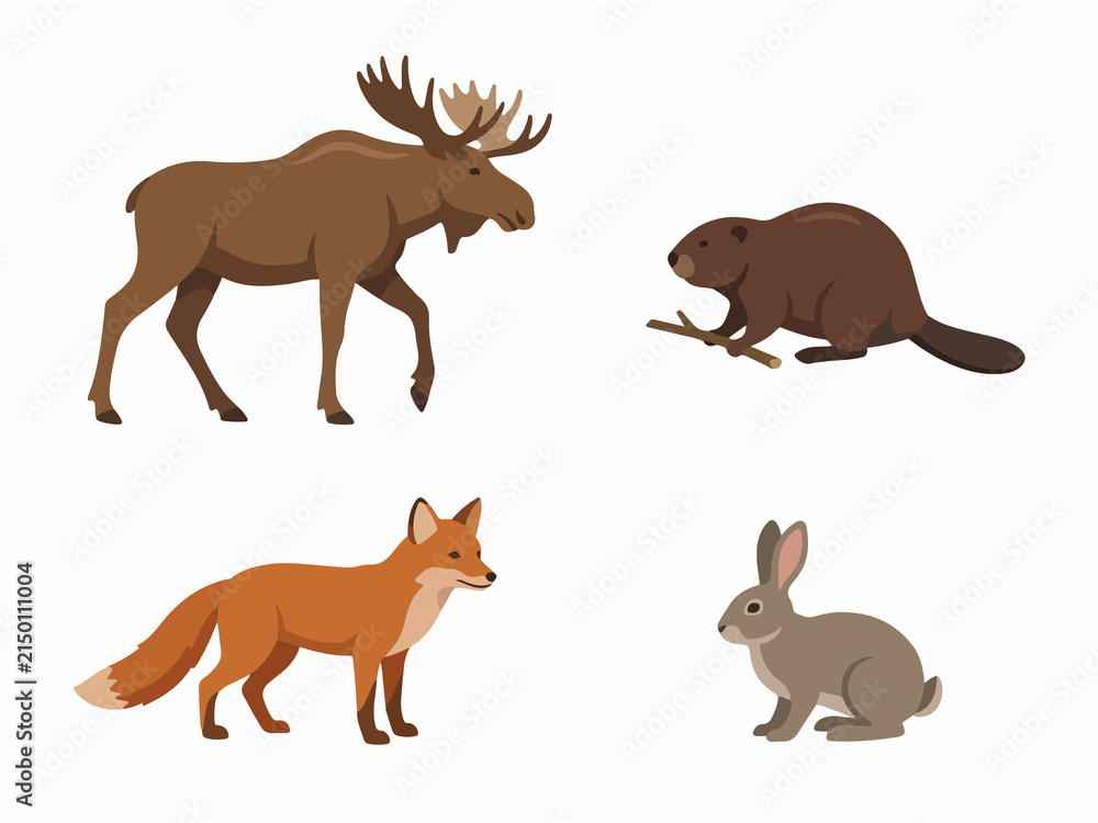 Obraz premium Collection of realistic animal illustrations featuring a moose, mole, fox, and rabbit in a natural setting