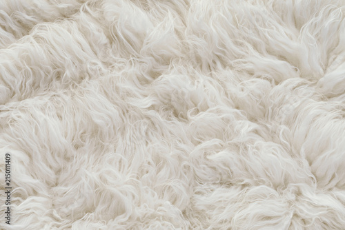 Fotografía Texture background of white long hair sheepskin fur rug