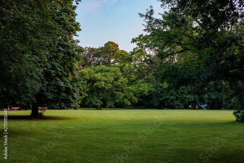 Open meadow surrounded by trees in the park