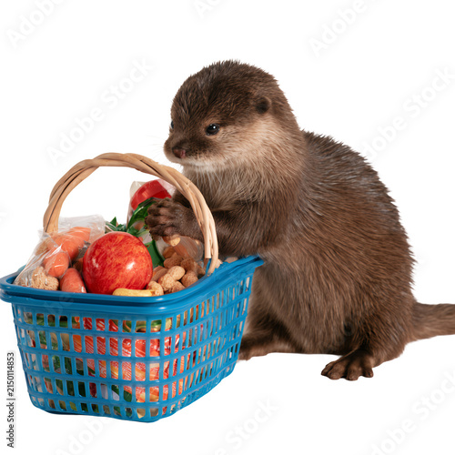 Cute otter sitting in a shopping basket filled with groceries isolated on white background