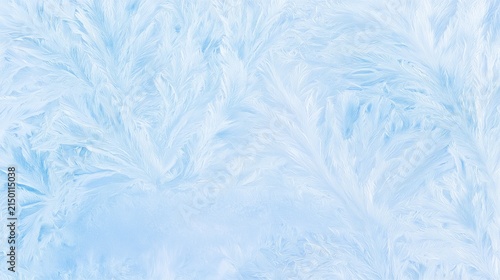 Feathery Frost Crystals with Winter Copy Space