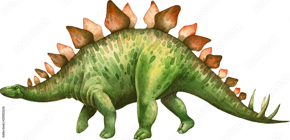Fototapeta premium watercolor dinosaur stegosaurus on white background