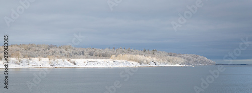 Snow covered forest shore near open river in winter, panoramic northern landscape with copy space