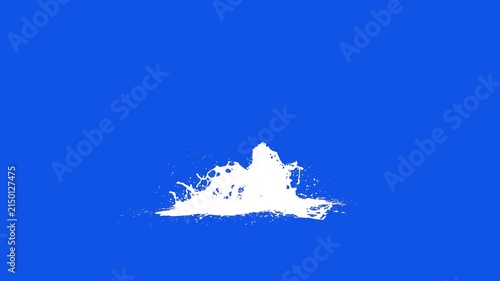 Black and White Silhouette Paint Splashing, 3D Animation Ink Burst, High Contrast Fluid Simulation, Monochrome Splatter, Green Screen Chromakey