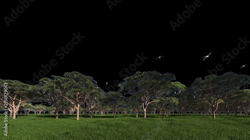 Majestic birds gracefully soaring around vibrant green trees under a clear sky
