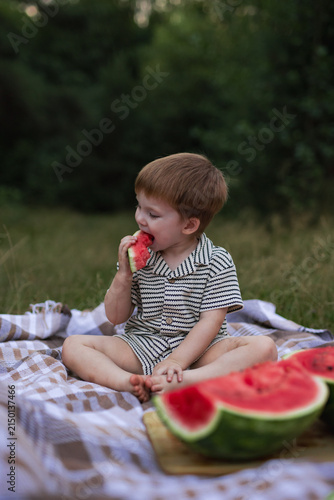 Cute little boy sitting on picnic blanket and eating juicy watermelon slice