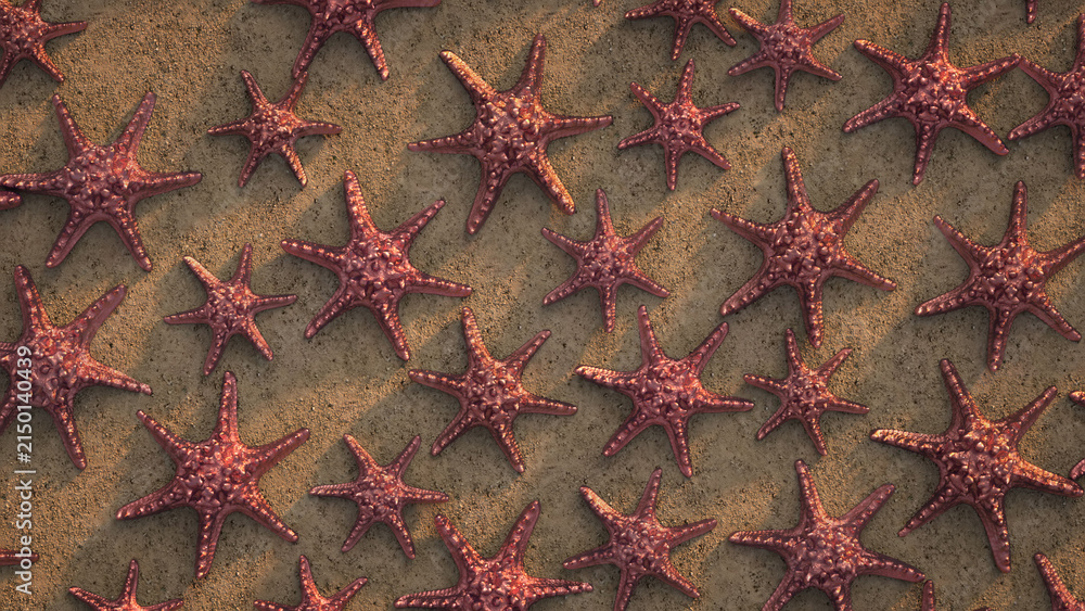 Fototapeta premium Red starfish arranged in rows on sandy beach under warm sunlight, showing textured surfaces and natural shadows.
