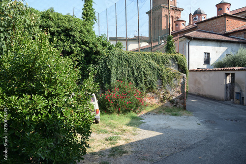 A wide outdoor shot featuring a classic cream-colored car parked beside vibrant pink flowering bushes, dense climbing vines, tall trees, and an old brick building wall on a sunny day.