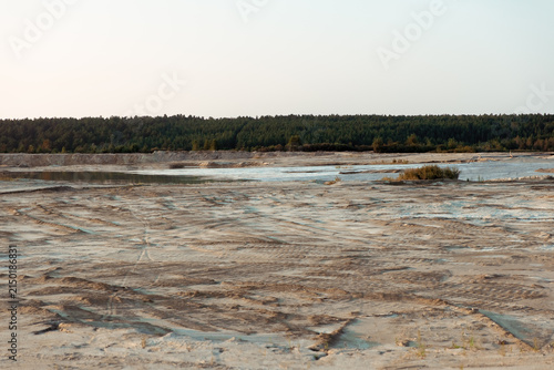 Vast sandy terrain with rippled textures and shallow water pools bordered by a dense forest.