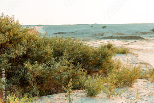 Arid landscape of a sandy quarry with rare desert shrubs