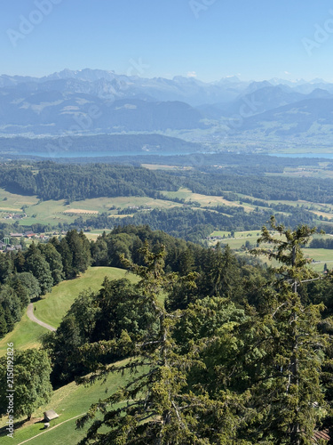 Patchwork Fields and Forest in the Swiss Countryside
