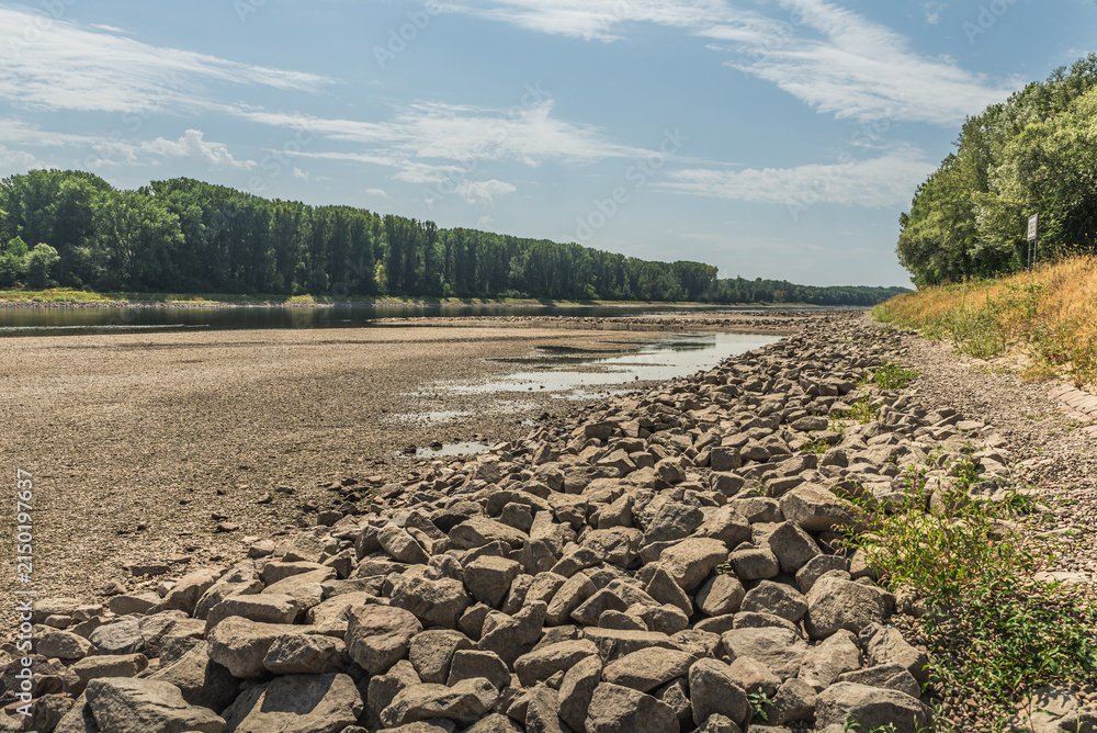 Obraz premium Dry riverbed of the Rhine River due to climate change and severe drought, Germersheim, Germany
