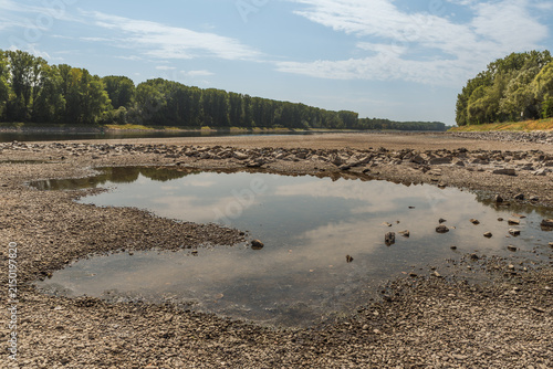 Dry riverbed of the Rhine River with shallow water puddles during summer drought, Germersheim, Germany