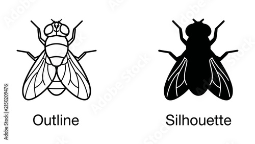 Fly Outline and Silhouette: Two depictions of a fly, one a detailed line drawing outline and the other a solid black silhouette, presented side-by-side for comparison.