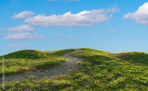 Clover meadow landscape with dirt path under blue sky. 3D rendering.