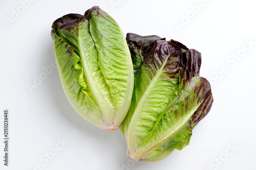 Red Gem Lettuce top view on white background