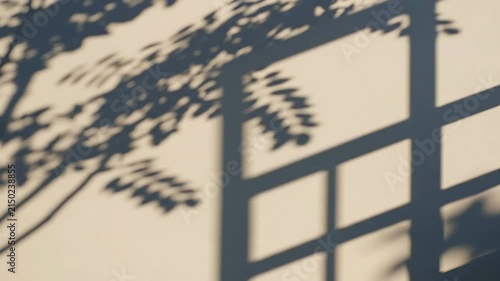 Swaying Tree Leaf Shadows on Minimalist Wall | Peaceful Abstract Background