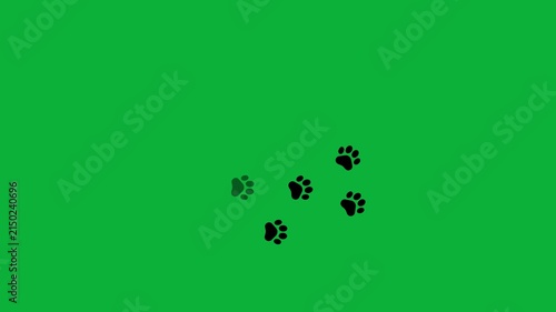 Animal paw prints. Comic funny paws along the path. Footprints walking animal on a trajectory of movement.