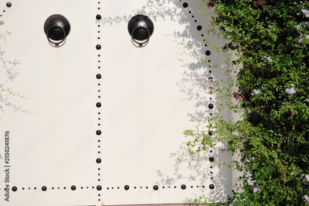 Obraz premium White Mediterranean building and Bougainvillea in Mediterranean Town