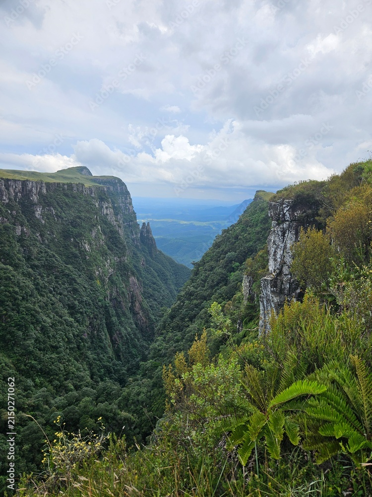 Obraz premium Expansive canyon landscape with lush green vegetation and dramatic cliffs