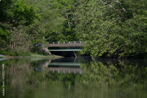 Bild auf Leinwand Tranquil Green River Bridge With Lush Trees And Mirror-Like Reflections In Calm