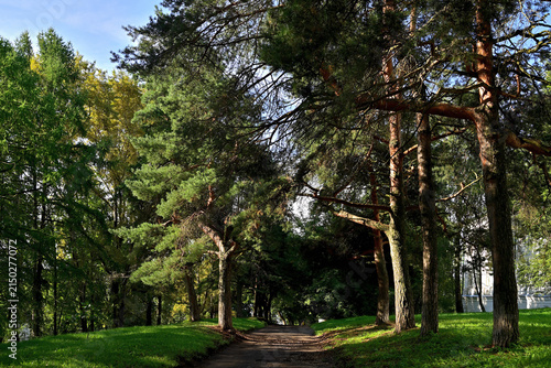 The path leading to A. N. Ostrovsky's monastery on the banks of the Volga.