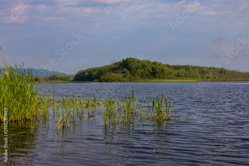 Backwater Lake Along Mississippi River Scenic Landscape