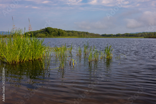 Backwater Lake Along Mississippi River Scenic Landscape