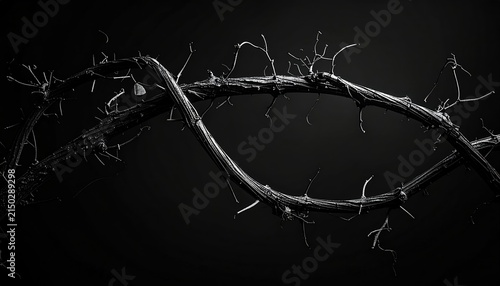 Close-up of a Crown of Thorns on a Dark Background.
