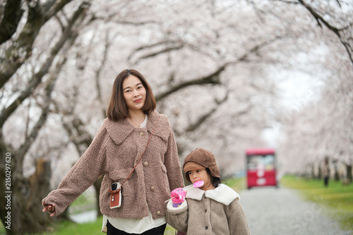 Mother and Daughter Walking along walking hand in hand with daughter along a cherry Blossom Pathway in Spring, Japan.