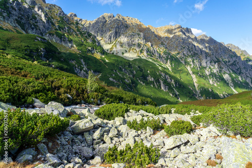 Foto Illuminated Peaks Above the Roztoka Valley. High Tatras.