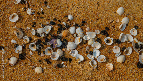 Oil pollution of sea and coast. Floating clot of fuel oil bring toxin to other parts of sea, secondary pollution. Sandy seashell beach attacked by fuel. South China Sea