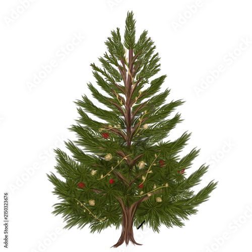 Natural Christmas Tree