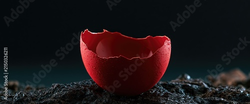 A single red tomato cut in half, resting on a dark, textured surface.